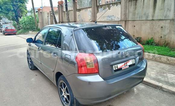 Buy Used Toyota Corolla Silver Car in Yaounde in Central Cameroon Buy Used Toyota Corolla Silver Car in Yaounde in Central Cameroon