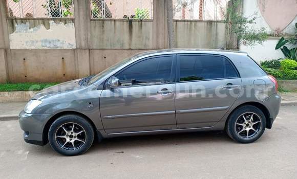 Buy Used Toyota Corolla Silver Car in Yaounde in Central Cameroon Buy Used Toyota Corolla Silver Car in Yaounde in Central Cameroon