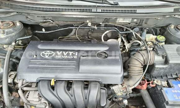 Buy Used Toyota Corolla Silver Car in Yaounde in Central Cameroon Buy Used Toyota Corolla Silver Car in Yaounde in Central Cameroon