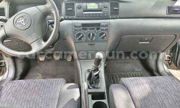 Buy Used Toyota Corolla Silver Car in Yaounde in Central Cameroon Buy Used Toyota Corolla Silver Car in Yaounde in Central Cameroon