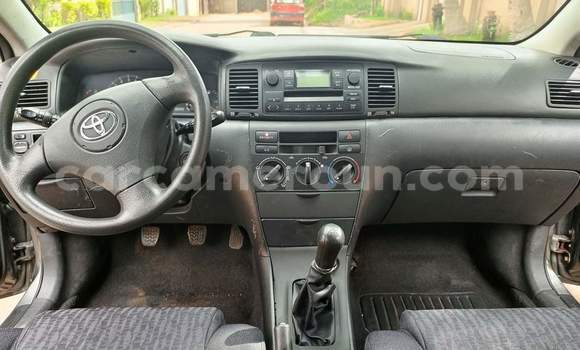 Buy Used Toyota Corolla Silver Car in Yaounde in Central Cameroon Buy Used Toyota Corolla Silver Car in Yaounde in Central Cameroon