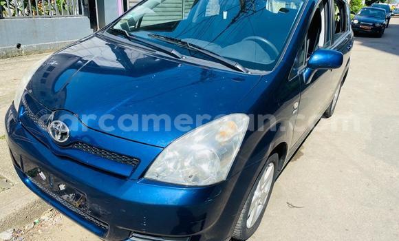 Buy Import Toyota Corolla Verso Blue Car in Douala in Littoral Cameroon Buy Import Toyota Corolla Verso Blue Car in Douala in Littoral Cameroon