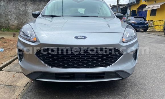 Acheter Occasion Voiture Ford Escape Gris à Douala, Littoral Cameroon Acheter Occasion Voiture Ford Escape Gris à Douala, Littoral Cameroon
