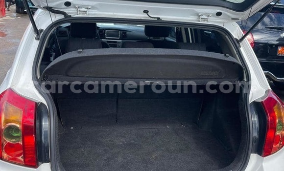 Acheter Import Voiture Toyota Allex Blanc à Douala, Littoral Cameroon Acheter Import Voiture Toyota Allex Blanc à Douala, Littoral Cameroon