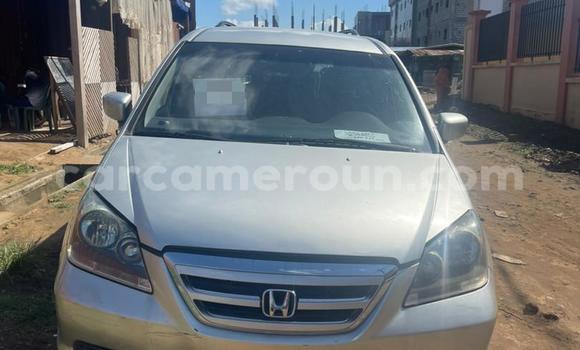 Acheter Import Voiture Honda Odyssey Gris à Douala, Littoral Cameroon