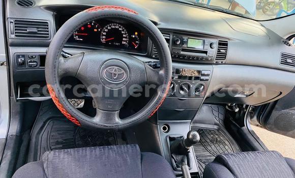 Acheter Import Voiture Toyota Corolla Bleu à Douala, Littoral Cameroon