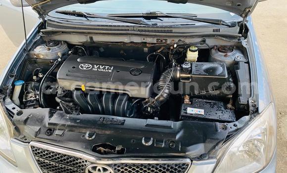 Sayi Imported Toyota Corolla Blue Mota in Douala a Ƙasar Kamaru Sayi Imported Toyota Corolla Blue Mota in Douala a Ƙasar Kamaru