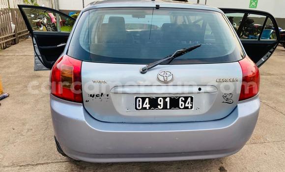 Sayi Imported Toyota Corolla Blue Mota in Douala a Ƙasar Kamaru Sayi Imported Toyota Corolla Blue Mota in Douala a Ƙasar Kamaru