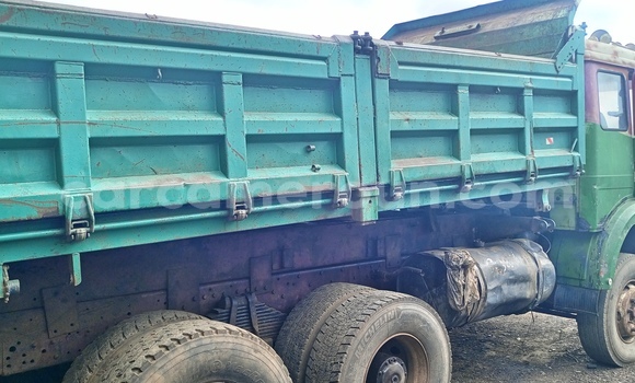 Buy Used Mercedes‒Benz Truck Green Truck in Tiko in Southwest Cameroon Buy Used Mercedes‒Benz Truck Green Truck in Tiko in Southwest Cameroon