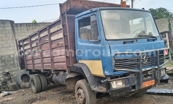 Buy Used Mercedes‒Benz Truck Brown Truck in limb in Southwest Cameroon Buy Used Mercedes‒Benz Truck Brown Truck in limb in Southwest Cameroon