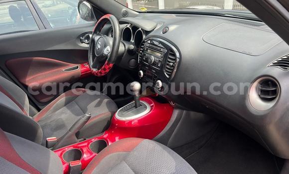 Buy Import Nissan Juke Silver Car in Douala in Littoral Cameroon Buy Import Nissan Juke Silver Car in Douala in Littoral Cameroon