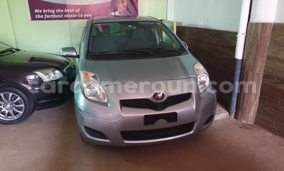 Buy Used Toyota Yaris Silver Car in Yaounde in Central Cameroon Buy Used Toyota Yaris Silver Car in Yaounde in Central Cameroon