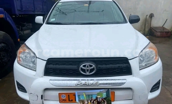 Acheter Occasion Voiture Toyota RAV4 Blanc à Ndop, Northwest Cameroon Acheter Occasion Voiture Toyota RAV4 Blanc à Ndop, Northwest Cameroon