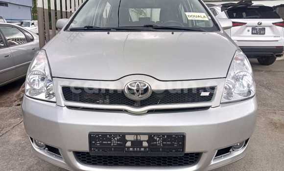 Acheter Import Voiture Toyota Corolla Verso Gris à Douala, Littoral Cameroon