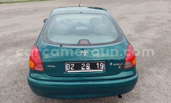 Buy Used Toyota Corolla Green Car in Yaounde in Central Cameroon Buy Used Toyota Corolla Green Car in Yaounde in Central Cameroon