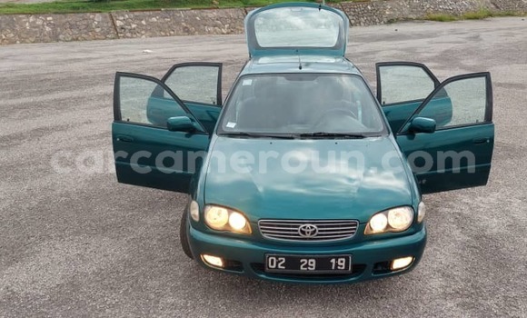 Buy Used Toyota Corolla Green Car in Yaounde in Central Cameroon Buy Used Toyota Corolla Green Car in Yaounde in Central Cameroon