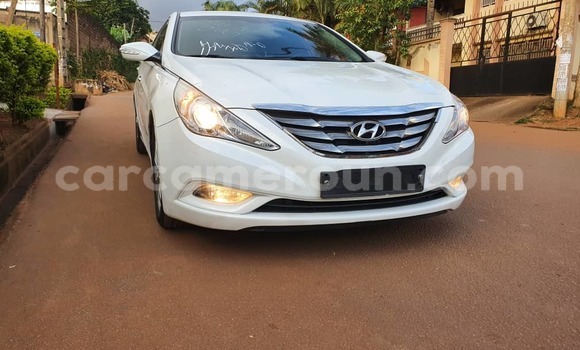Buy Used Hyundai Sonata White Car in Yaounde in Central Cameroon