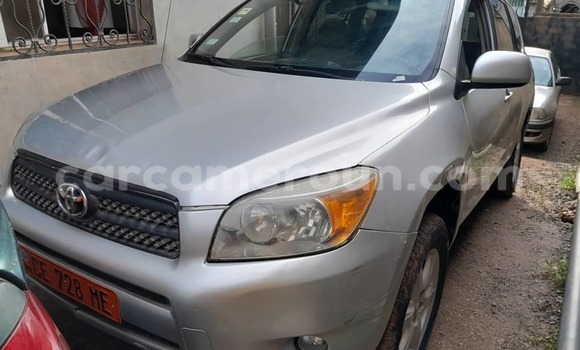 Buy Used Toyota RAV4 Silver Car in Yaounde in Central Cameroon