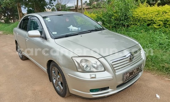 Buy Used Toyota Avensis Brown Car in Yaounde in Central Cameroon Buy Used Toyota Avensis Brown Car in Yaounde in Central Cameroon