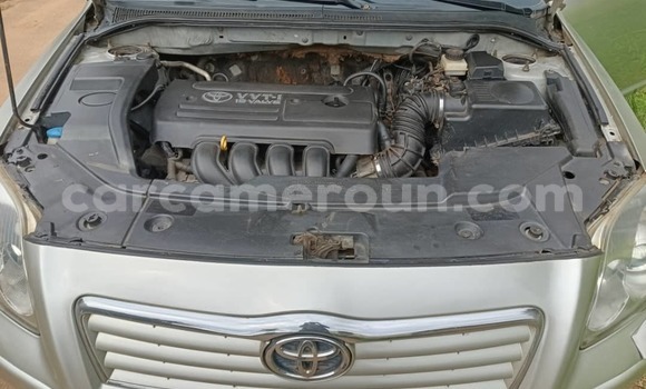 Buy Used Toyota Avensis Brown Car in Yaounde in Central Cameroon Buy Used Toyota Avensis Brown Car in Yaounde in Central Cameroon