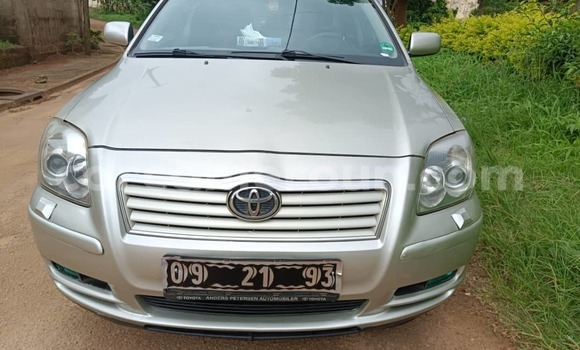Buy Used Toyota Avensis Brown Car in Yaounde in Central Cameroon Buy Used Toyota Avensis Brown Car in Yaounde in Central Cameroon