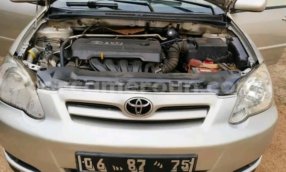 Acheter Occasion Voiture Toyota Corolla Marron à Ndop, Northwest Cameroon Acheter Occasion Voiture Toyota Corolla Marron à Ndop, Northwest Cameroon