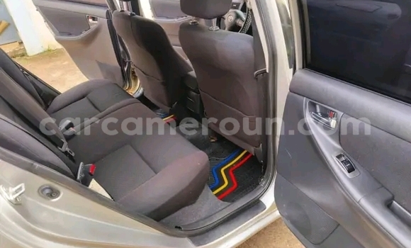 Acheter Occasion Voiture Toyota Corolla Marron à Ndop, Northwest Cameroon Acheter Occasion Voiture Toyota Corolla Marron à Ndop, Northwest Cameroon