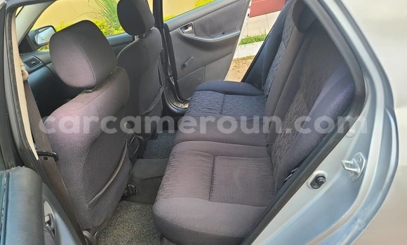 Buy Used Toyota Corolla Other Car in Yaounde in Central Cameroon Buy Used Toyota Corolla Other Car in Yaounde in Central Cameroon