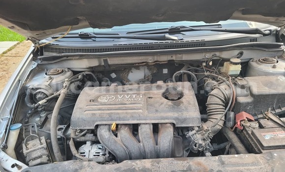 Buy Used Toyota Corolla Other Car in Yaounde in Central Cameroon Buy Used Toyota Corolla Other Car in Yaounde in Central Cameroon