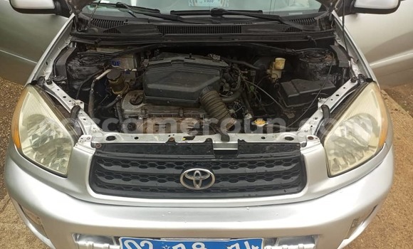 Buy Used Toyota RAV4 Other Car in Yaounde in Central Cameroon Buy Used Toyota RAV4 Other Car in Yaounde in Central Cameroon