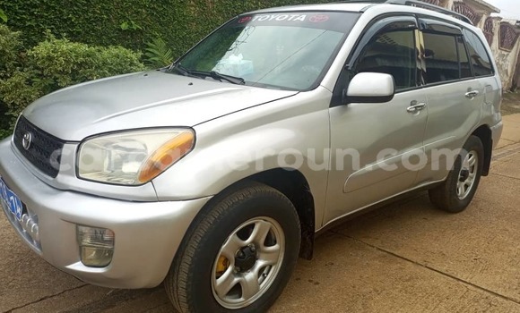 Buy Used Toyota RAV4 Other Car in Yaounde in Central Cameroon Buy Used Toyota RAV4 Other Car in Yaounde in Central Cameroon