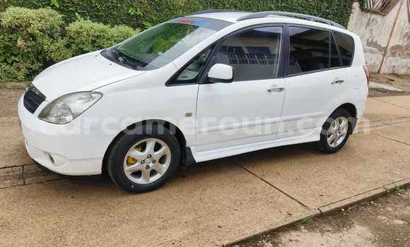 Buy Used Toyota Corolla Verso White Car in Yaounde in Central Cameroon Buy Used Toyota Corolla Verso White Car in Yaounde in Central Cameroon