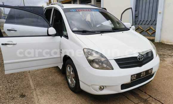 Buy Used Toyota Corolla Verso White Car in Yaounde in Central Cameroon Buy Used Toyota Corolla Verso White Car in Yaounde in Central Cameroon