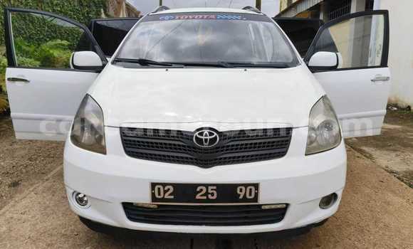 Buy Used Toyota Corolla Verso White Car in Yaounde in Central Cameroon Buy Used Toyota Corolla Verso White Car in Yaounde in Central Cameroon