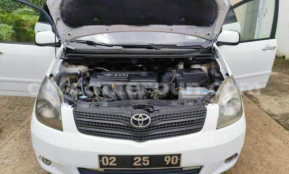 Buy Used Toyota Corolla Verso White Car in Yaounde in Central Cameroon Buy Used Toyota Corolla Verso White Car in Yaounde in Central Cameroon