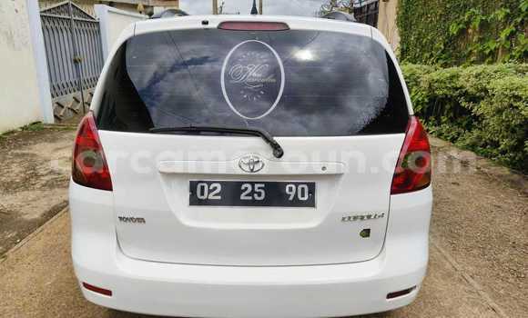 Buy Used Toyota Corolla Verso White Car in Yaounde in Central Cameroon Buy Used Toyota Corolla Verso White Car in Yaounde in Central Cameroon