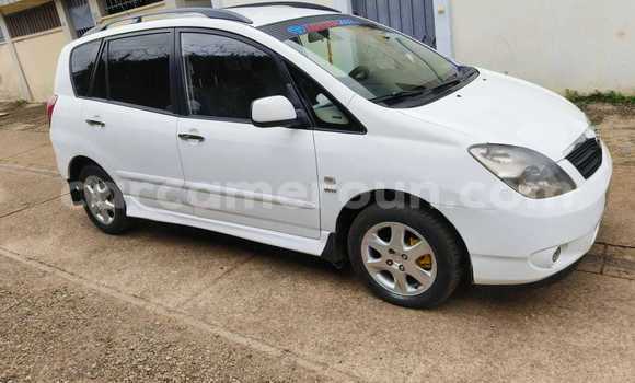 Buy Used Toyota Corolla Verso White Car in Yaounde in Central Cameroon Buy Used Toyota Corolla Verso White Car in Yaounde in Central Cameroon