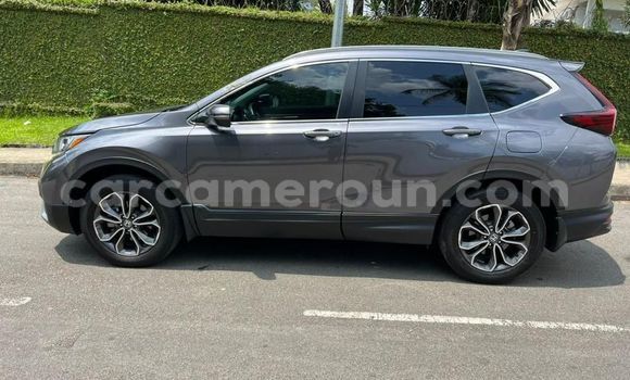Buy Import Honda CR–V Silver Car in Douala in Littoral Cameroon Buy Import Honda CR–V Silver Car in Douala in Littoral Cameroon