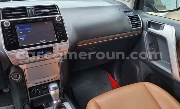Buy Import Toyota Land Cruiser Prado Black Car in Douala in Littoral Cameroon Buy Import Toyota Land Cruiser Prado Black Car in Douala in Littoral Cameroon