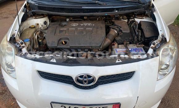 Buy Used Toyota Auris White Car in Yaounde in Central Cameroon Buy Used Toyota Auris White Car in Yaounde in Central Cameroon
