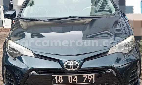 Sayi Na hannu Toyota Corolla Blue Mota in Yaounde a Babban Kamaru Sayi Na hannu Toyota Corolla Blue Mota in Yaounde a Babban Kamaru