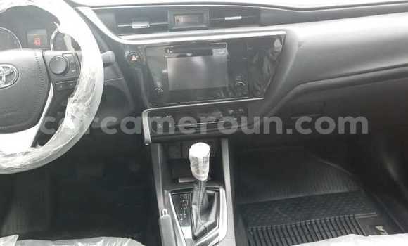 Sayi Na hannu Toyota Corolla Blue Mota in Yaounde a Babban Kamaru Sayi Na hannu Toyota Corolla Blue Mota in Yaounde a Babban Kamaru