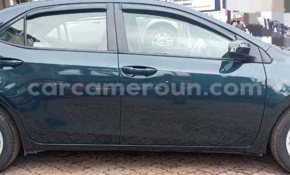 Sayi Na hannu Toyota Corolla Blue Mota in Yaounde a Babban Kamaru Sayi Na hannu Toyota Corolla Blue Mota in Yaounde a Babban Kamaru