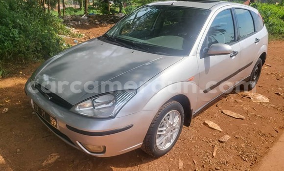 Buy Used Ford Focus Silver Car in Yaounde in Central Cameroon Buy Used Ford Focus Silver Car in Yaounde in Central Cameroon