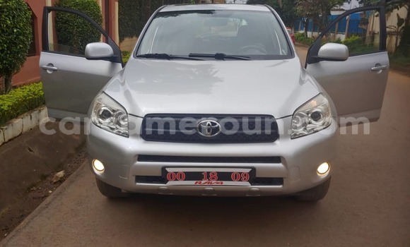 Buy Used Toyota RAV4 Brown Car in Yaounde in Central Cameroon Buy Used Toyota RAV4 Brown Car in Yaounde in Central Cameroon