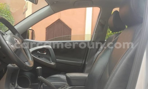Buy Used Toyota RAV4 Brown Car in Yaounde in Central Cameroon Buy Used Toyota RAV4 Brown Car in Yaounde in Central Cameroon