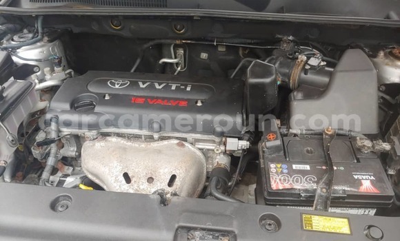 Buy Used Toyota RAV4 Brown Car in Yaounde in Central Cameroon Buy Used Toyota RAV4 Brown Car in Yaounde in Central Cameroon