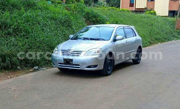 Acheter Occasion Voiture Toyota Runx Gris à Yaoundé, Central Cameroon
