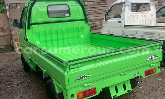 Buy Used Suzuki Carry Green Truck in Douala in Littoral Cameroon Buy Used Suzuki Carry Green Truck in Douala in Littoral Cameroon