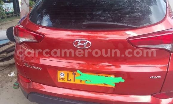 Buy Used Hyundai Tucson Other Car in Douala in Littoral Cameroon Buy Used Hyundai Tucson Other Car in Douala in Littoral Cameroon